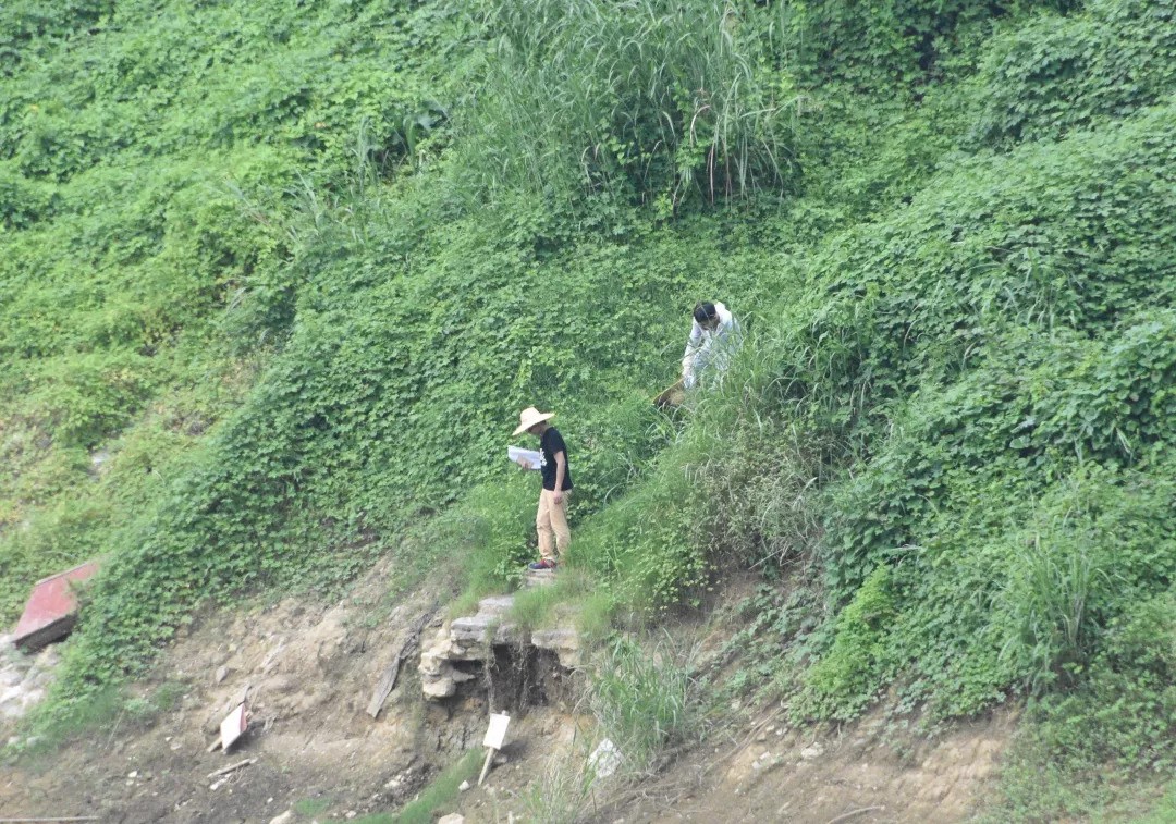 5b7f816a49c7e.jpg 4.jpg