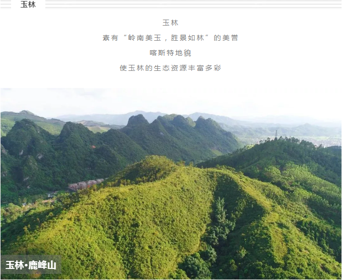 5c1c522f8ae02.png QQ截圖20181221103854.png