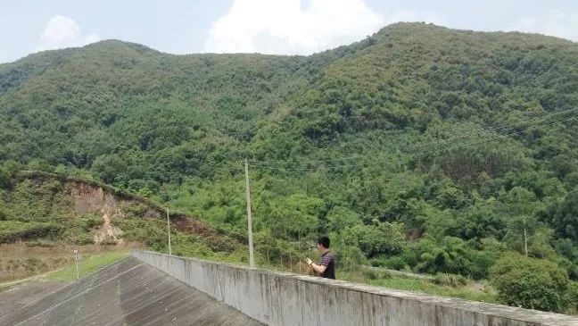 5c1c59e2887bd.jpg 1.jpg