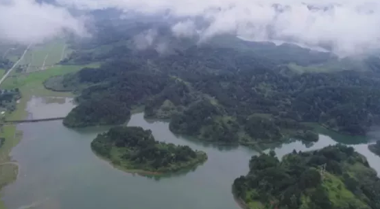 5f51f176d25ef.png 6.png